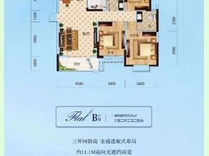 岳阳-岳阳楼区新辉国际城为您提供B户型鉴赏