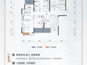 岳阳-岳阳楼区中建嘉和城为您提供大平层A户型鉴赏