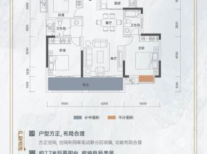 岳阳-岳阳楼区中建嘉和城为您提供大平层C户型鉴赏