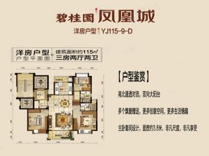 岳阳-岳阳楼区碧桂园凤凰城为您提供洋房D户型鉴赏