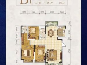 岳阳-湘阴顺恒佳苑为您提供B1户型鉴赏