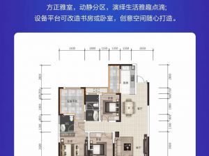 岳阳-汨罗罗城中央广场为您提供A户型鉴赏