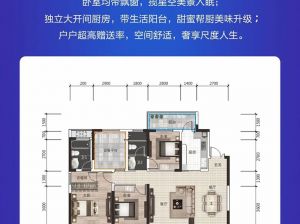 岳阳-汨罗罗城中央广场为您提供C户型鉴赏